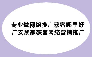 专业做网络推广获客哪里好 广安黎家获客网络营销推广